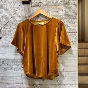 🏷 Madewell | Cropped Velour Top - L, Golden Yellow